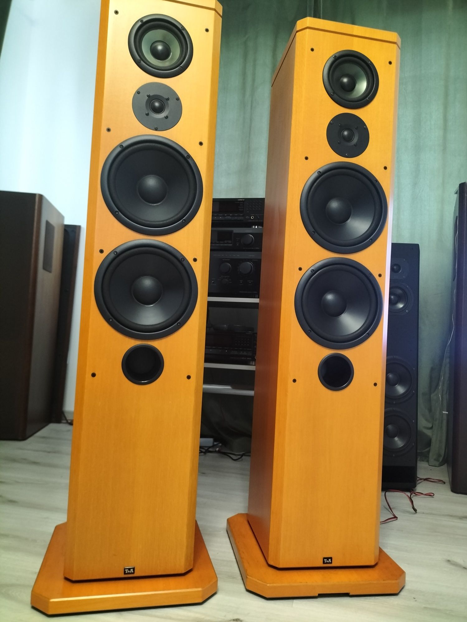 Kolumny T+A Pulsar TAE 1500E
