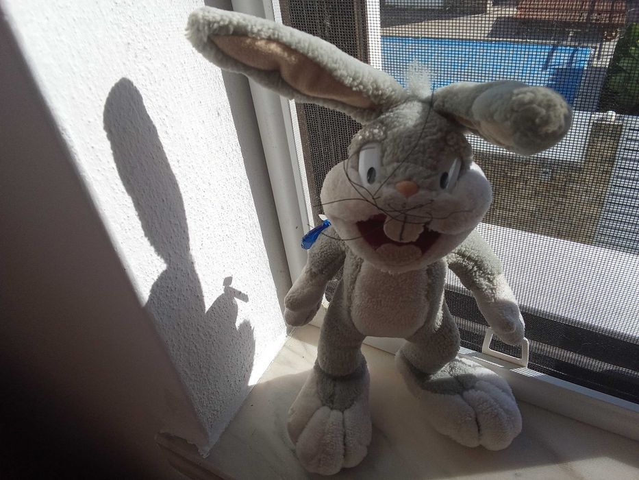 Looney     Tunes
