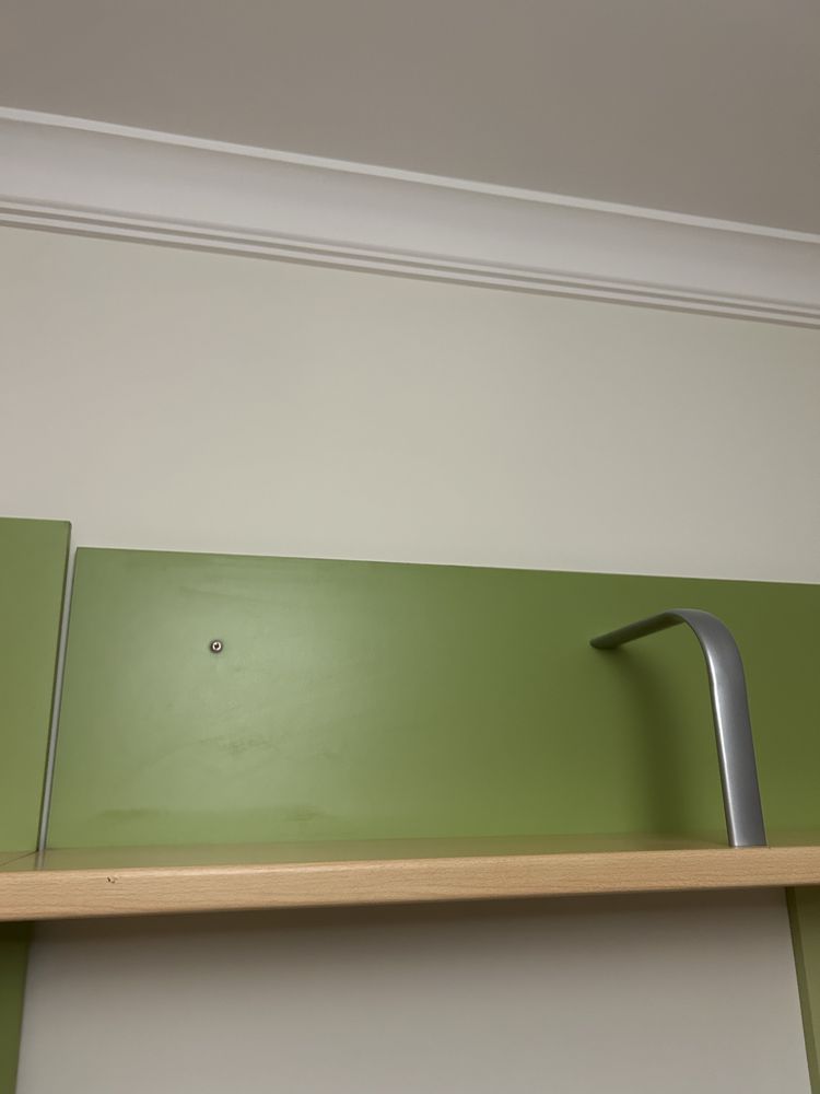Prateleira  fundo verde