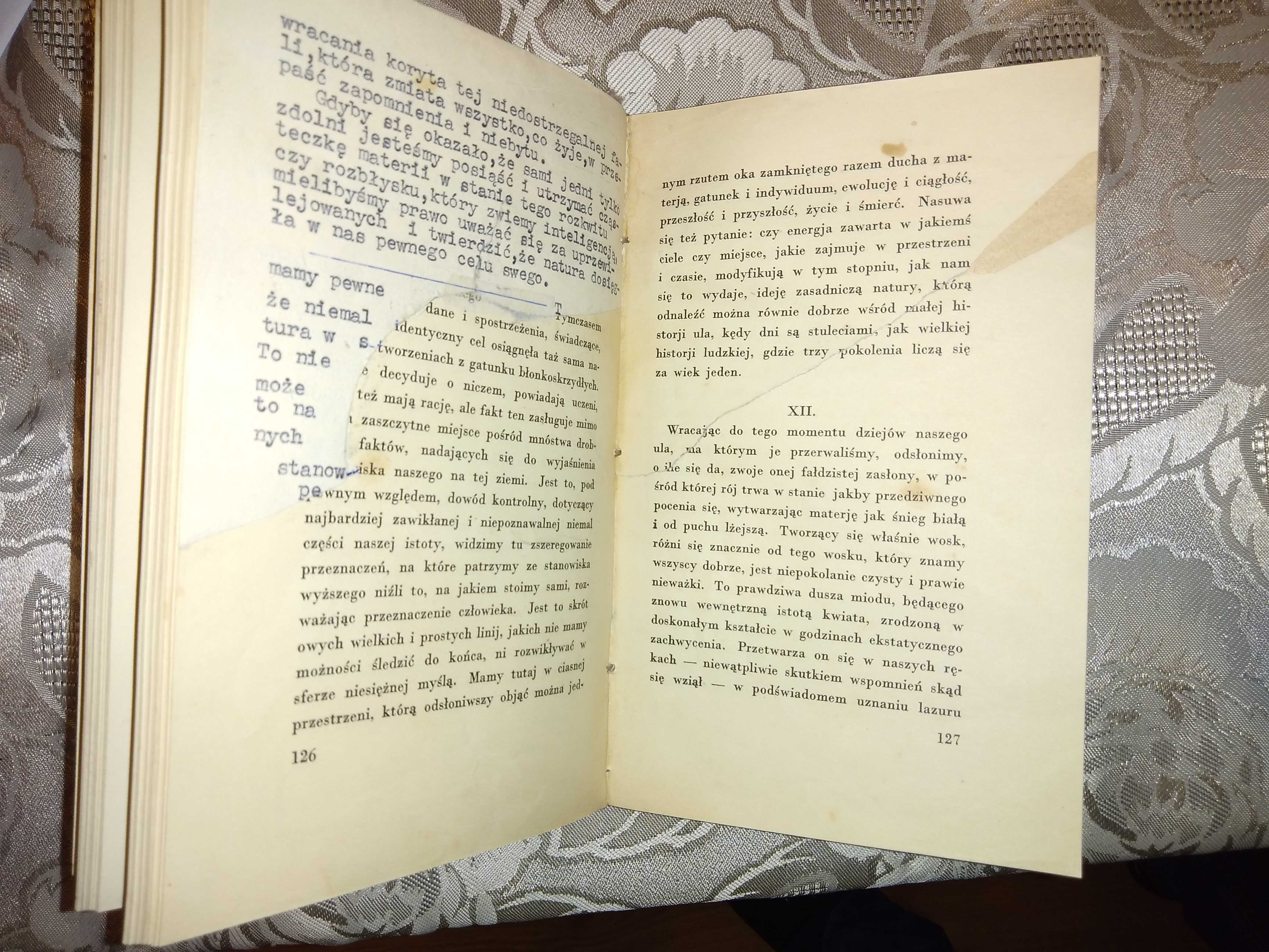 Książka "Życie pszczół" Maurycy Maeterlinck