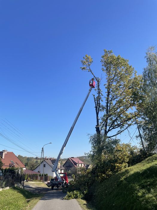 Wycinanie przycinanie drzew,zrąbkowanie