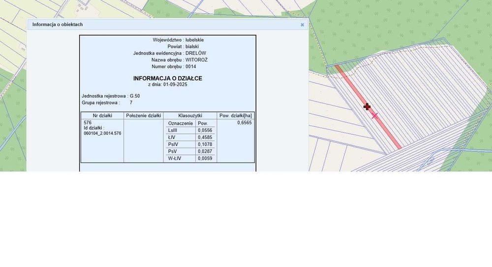Działka Łąka +las Witoroż gm. Drelów