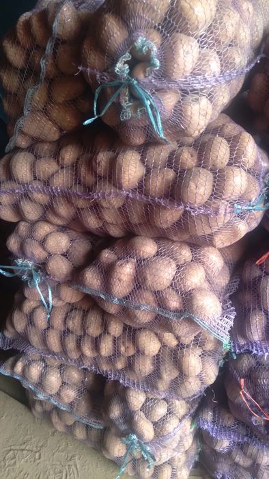 Продам картоплю.