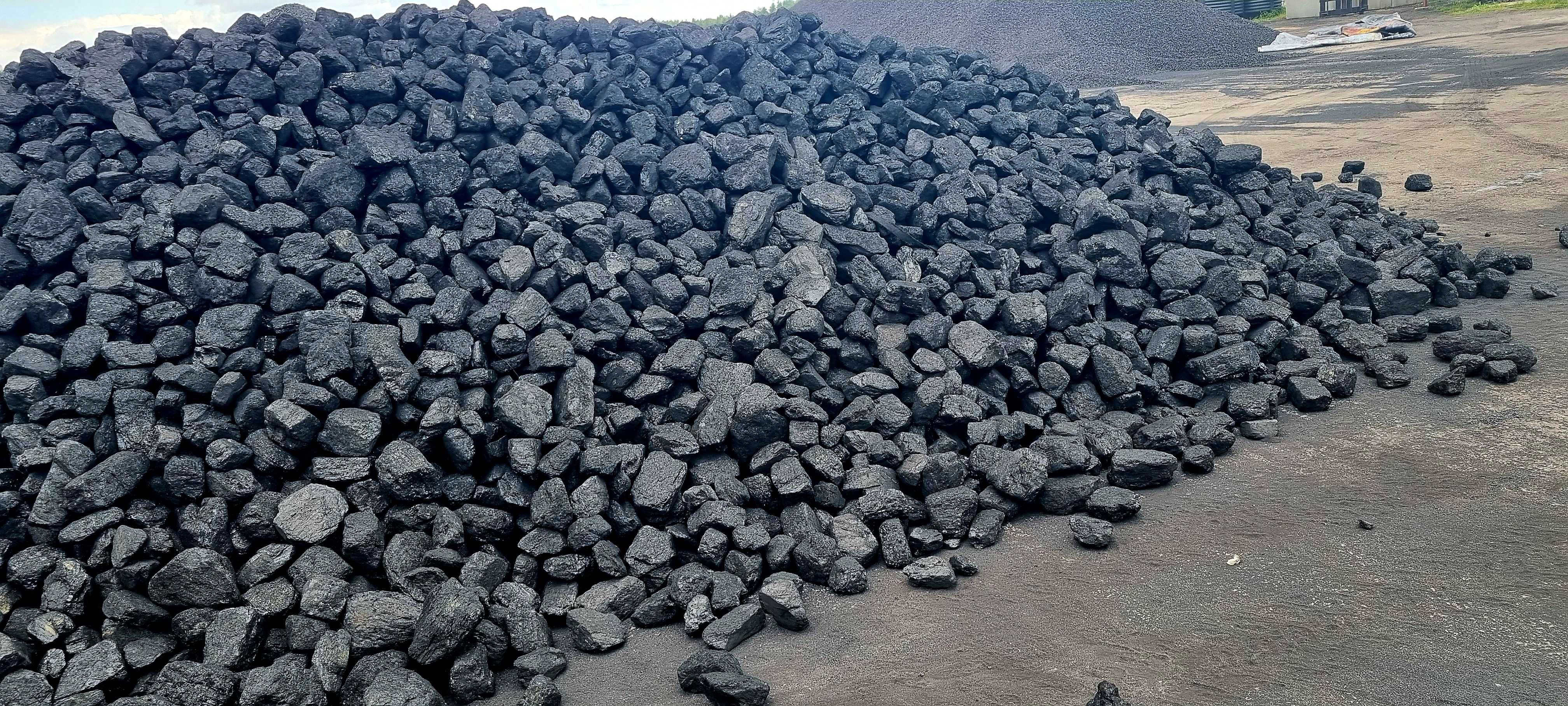 Firmowy Skład Węgla Węgiel Orzech 1300 zł Kije