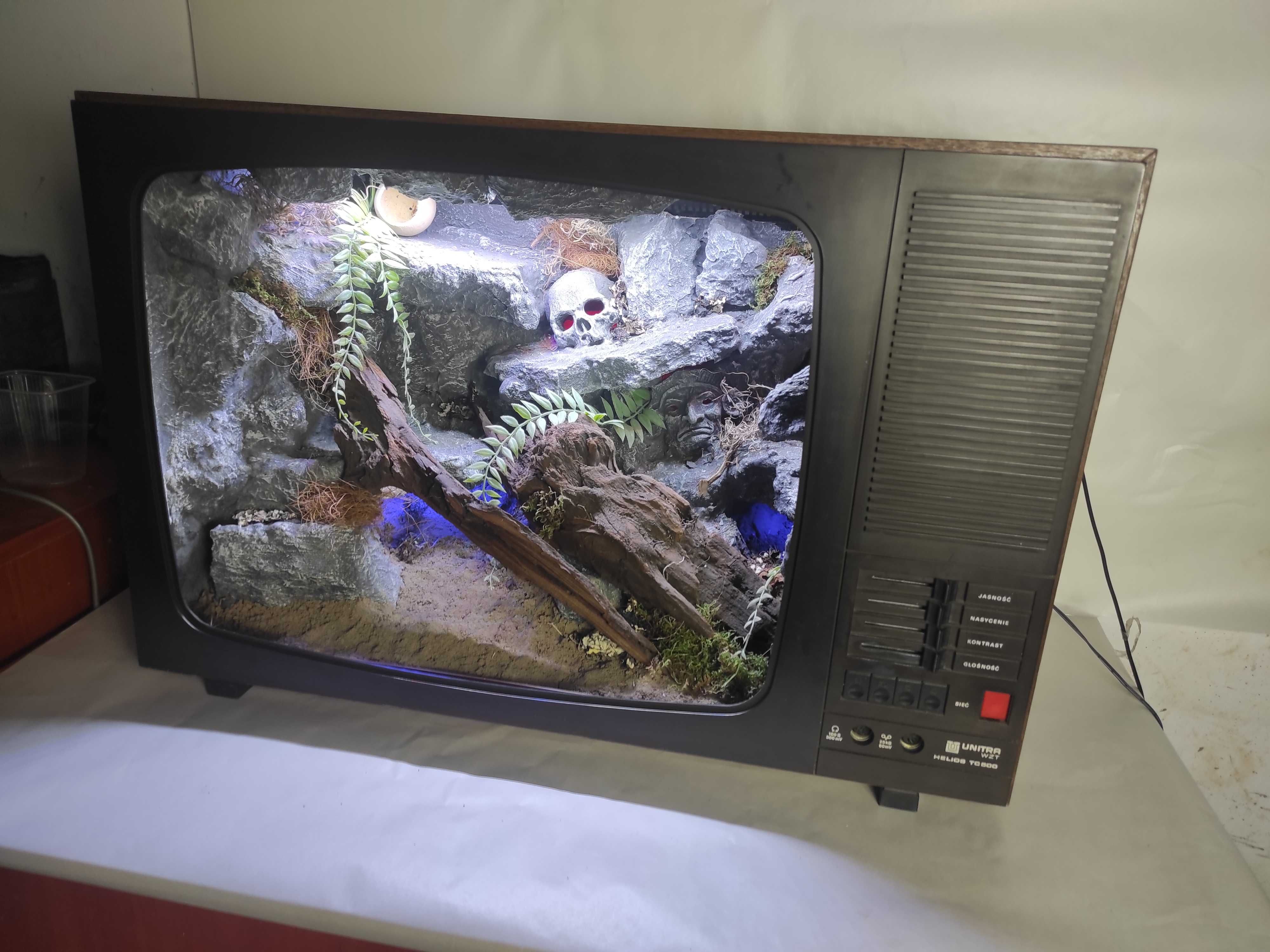 Terrarium stepowe retro telewizor UNITRA  unikatowe