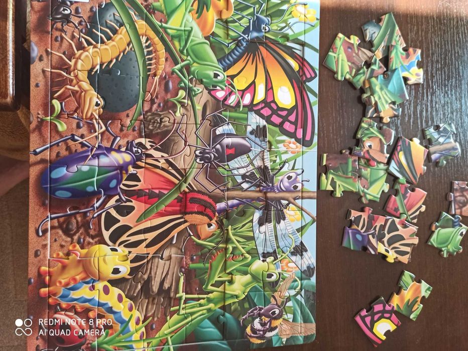Puzzle z owadami