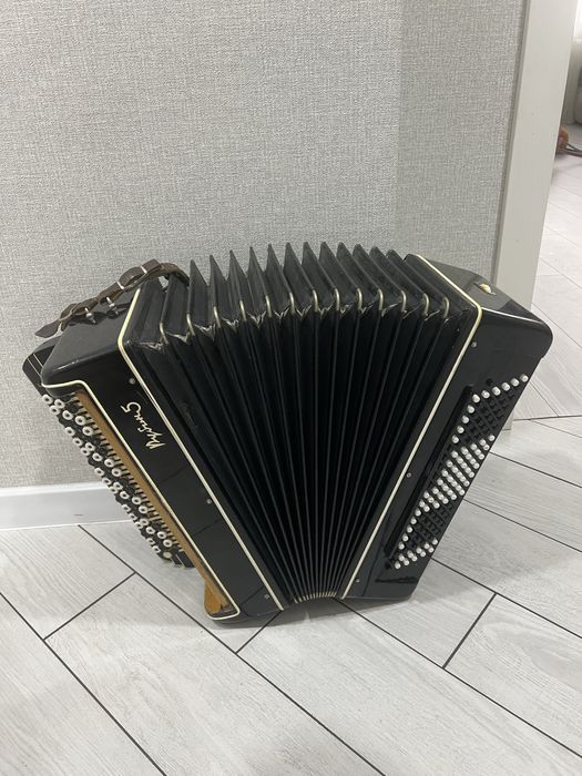 Баян Рубин 5 с чемоданом