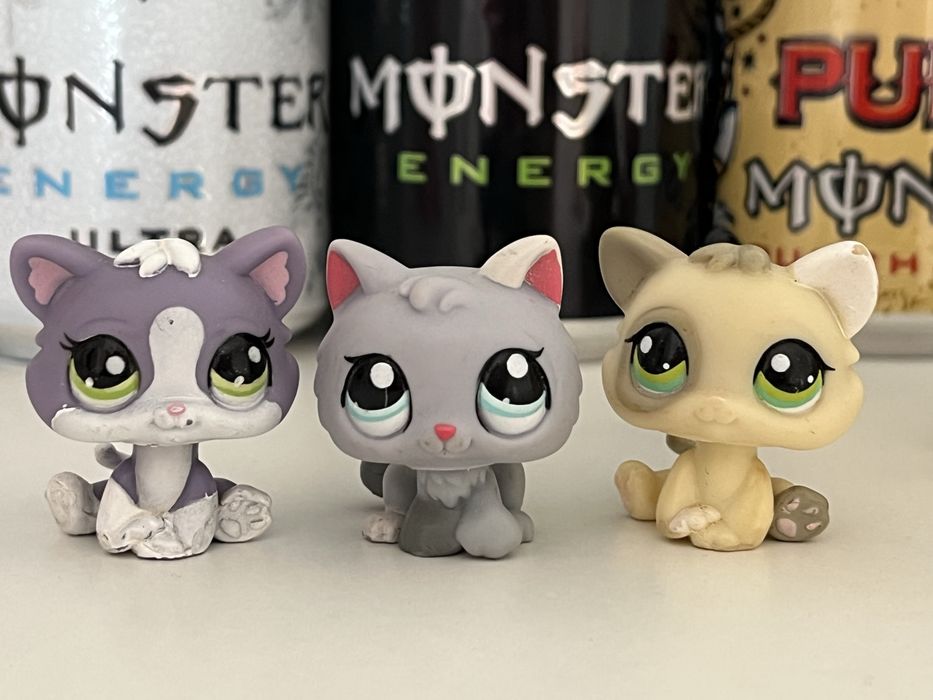 Продам оригинальных котят лпс lps