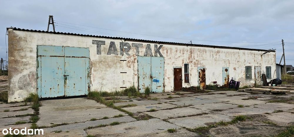 Do wynajęcia hala, plac, magazyn, usługi,  warsztat samochodowy Police