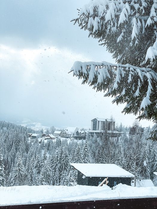 Здається котедж, оренда житла Буковель Яблуниця