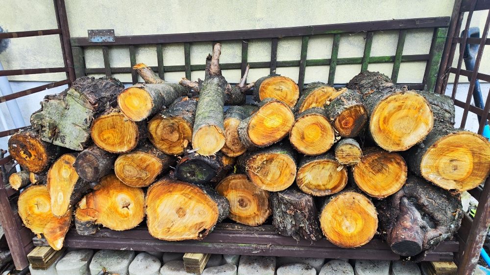 Drewno czereśnia na opał do kominka i wędzenia