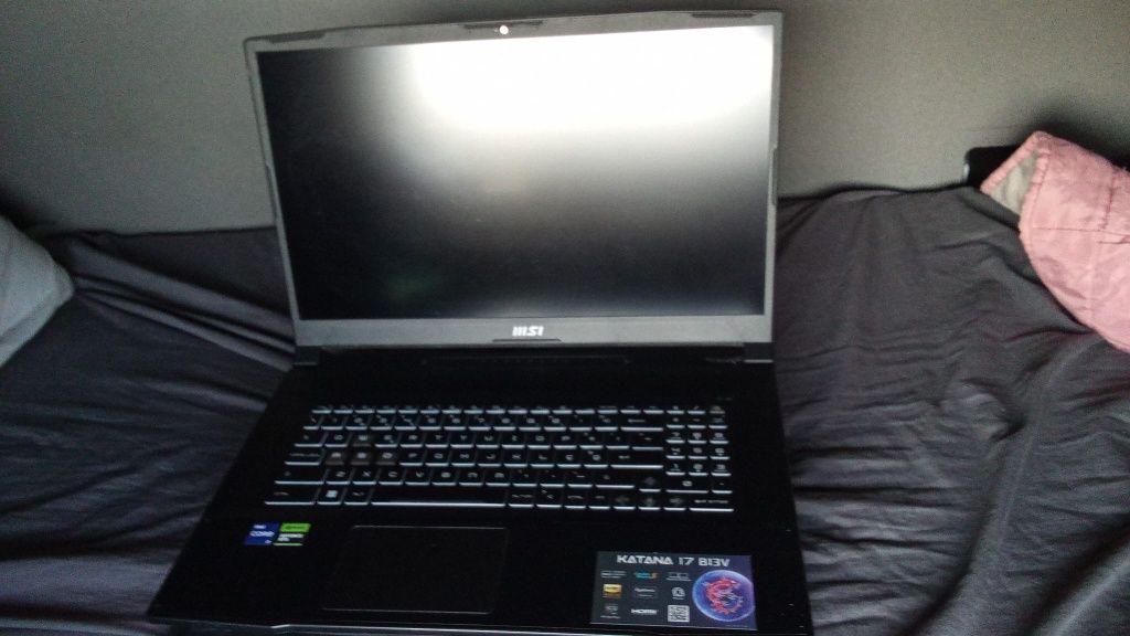 Portátil MSI 17.3" Katana 17 B13VGK-1222