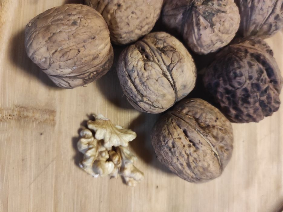 Sprzedam orzechy włoskie Jacki