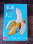 Noah po prostu jest Simon James Green