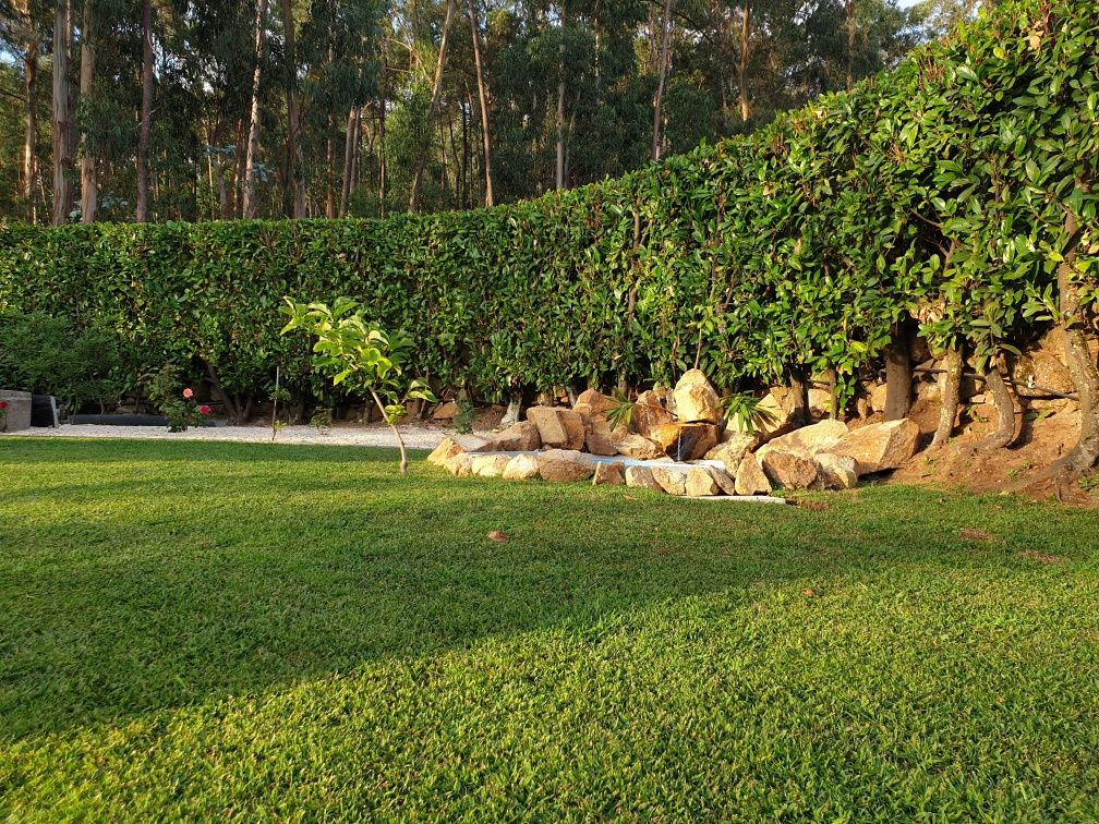 Serviços de JARDINAGEM