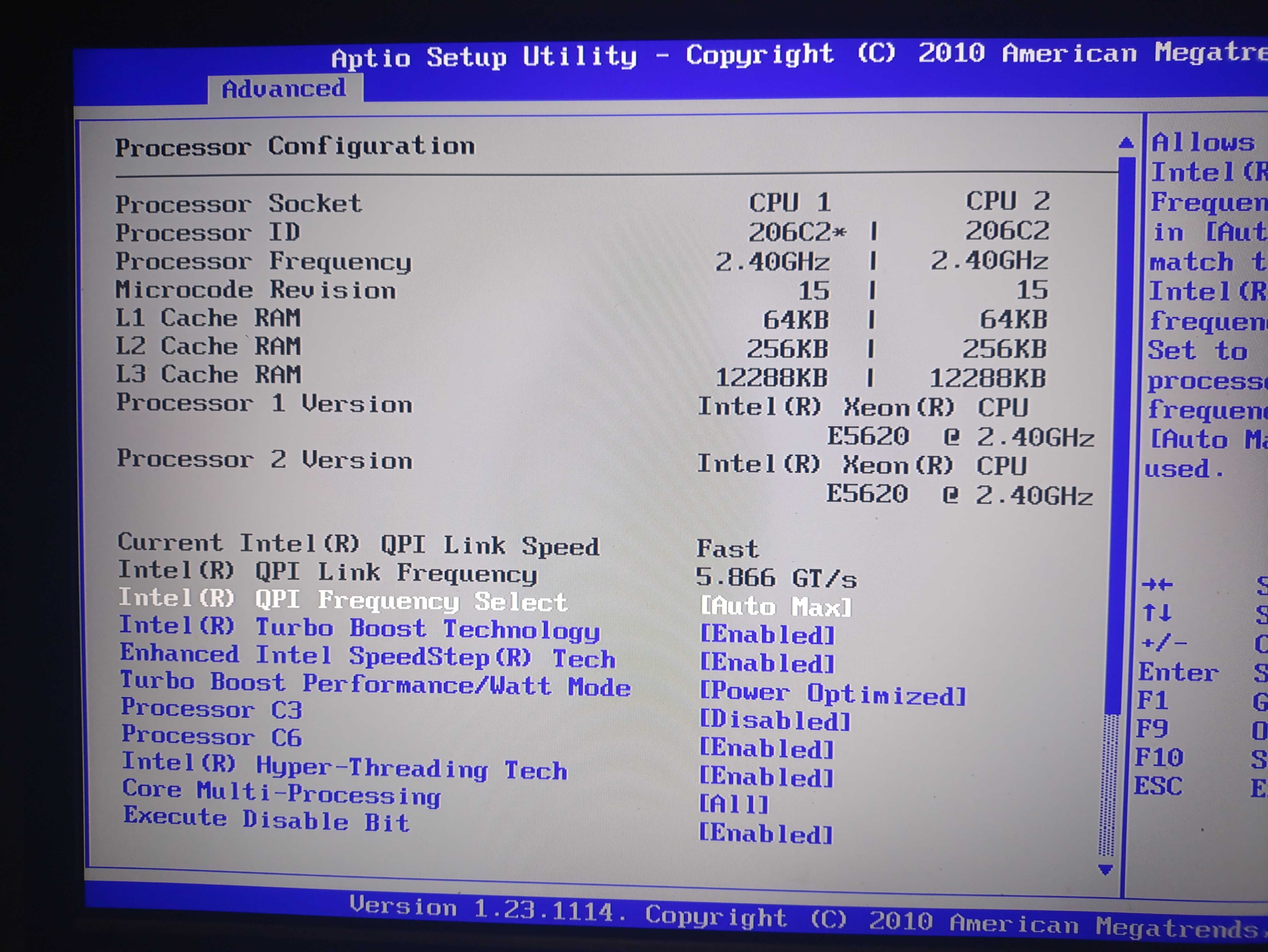 Server IBM S5500HCV
