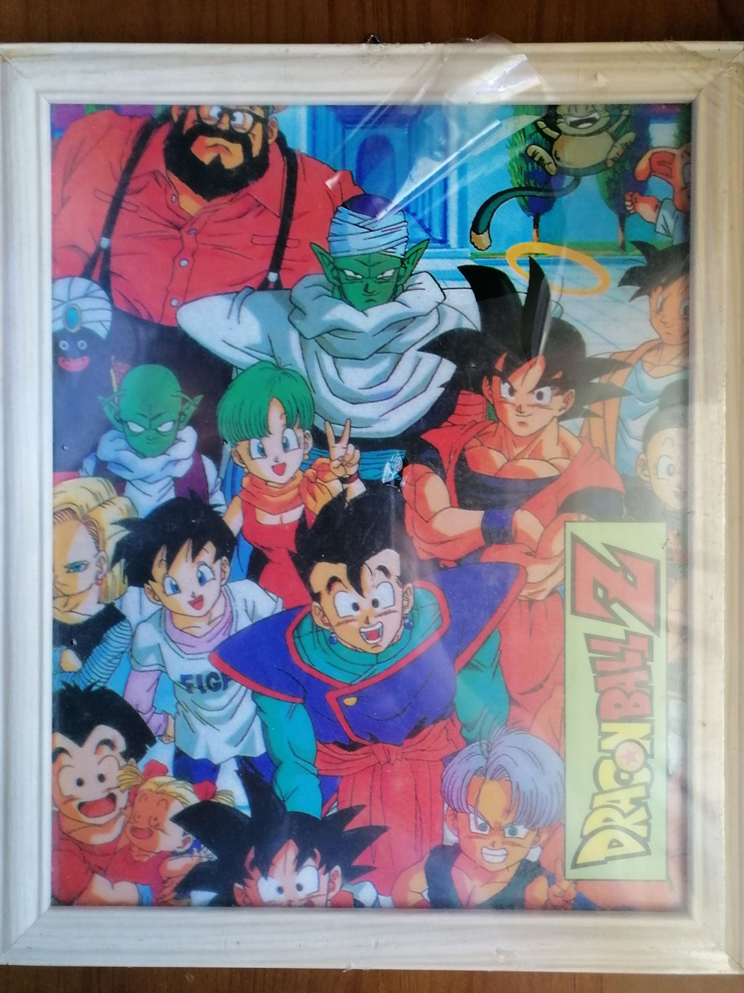 Quadro DragonBall Z