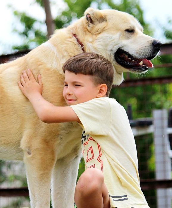 Кобелі  для  в'язки.