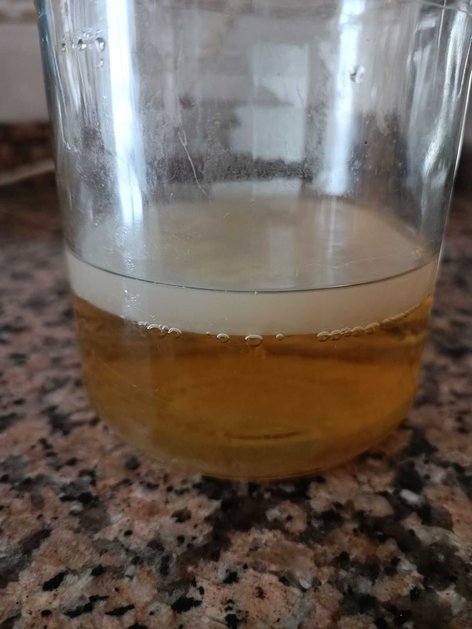 Kombucha com líquido starter (também envio por CTT)