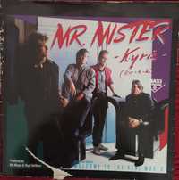 Płyta winylowa Mr. Mister