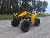 Quad Bashan 200 manual