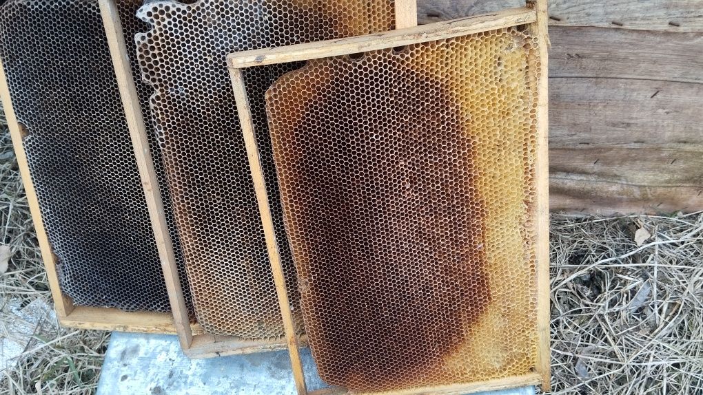 Продам бджолині рамки (суш) 300 мм