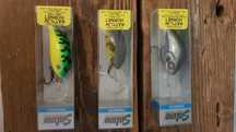 Woblery Salmo Rattlin Hornet