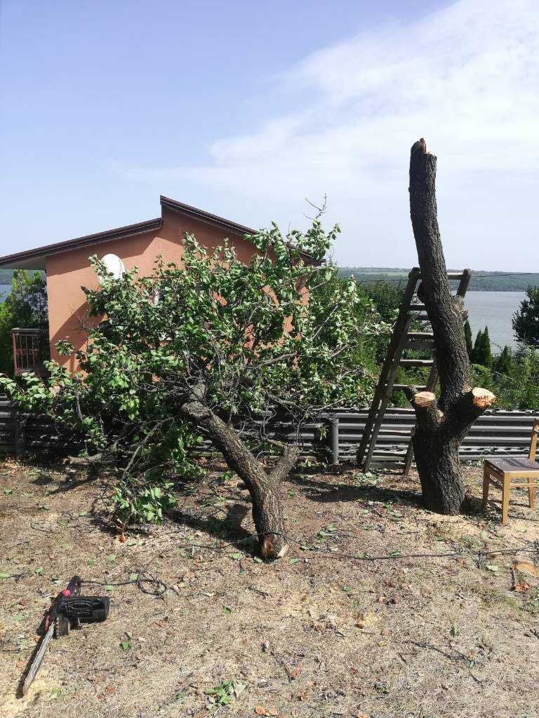 Помогаем удалить аварийное дерева Расчистка участка сада благоустрой