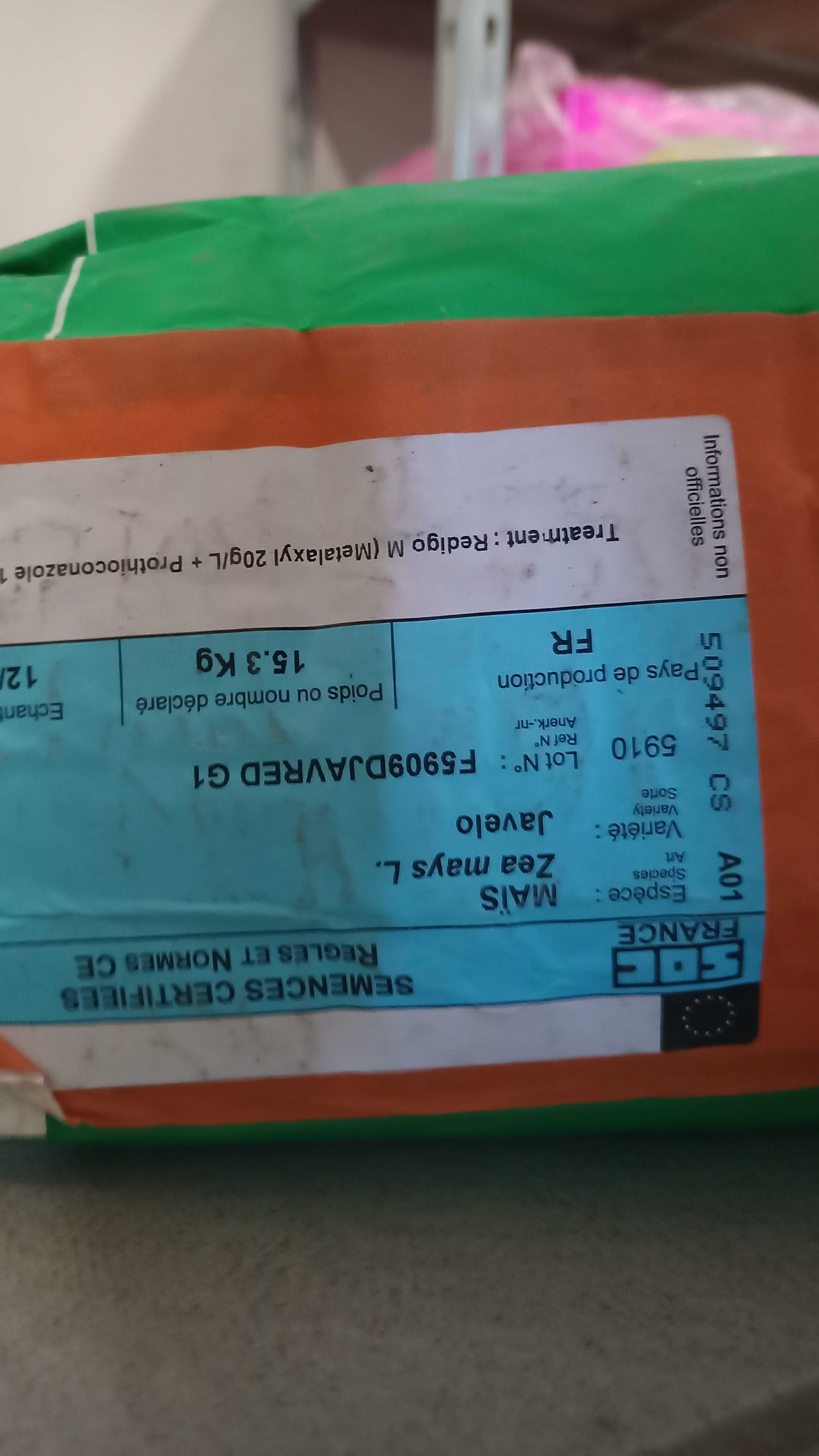 Kukurydza Javelo, kukurydza na kiszonkę nasiona kukurydzy op. 50tyś.j