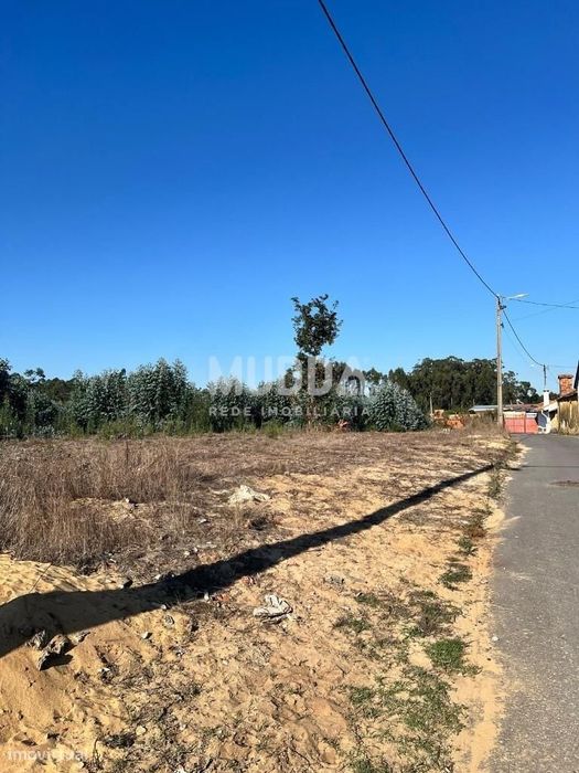 Terreno com duas frentes e grande potencial de urbanização em Avanca