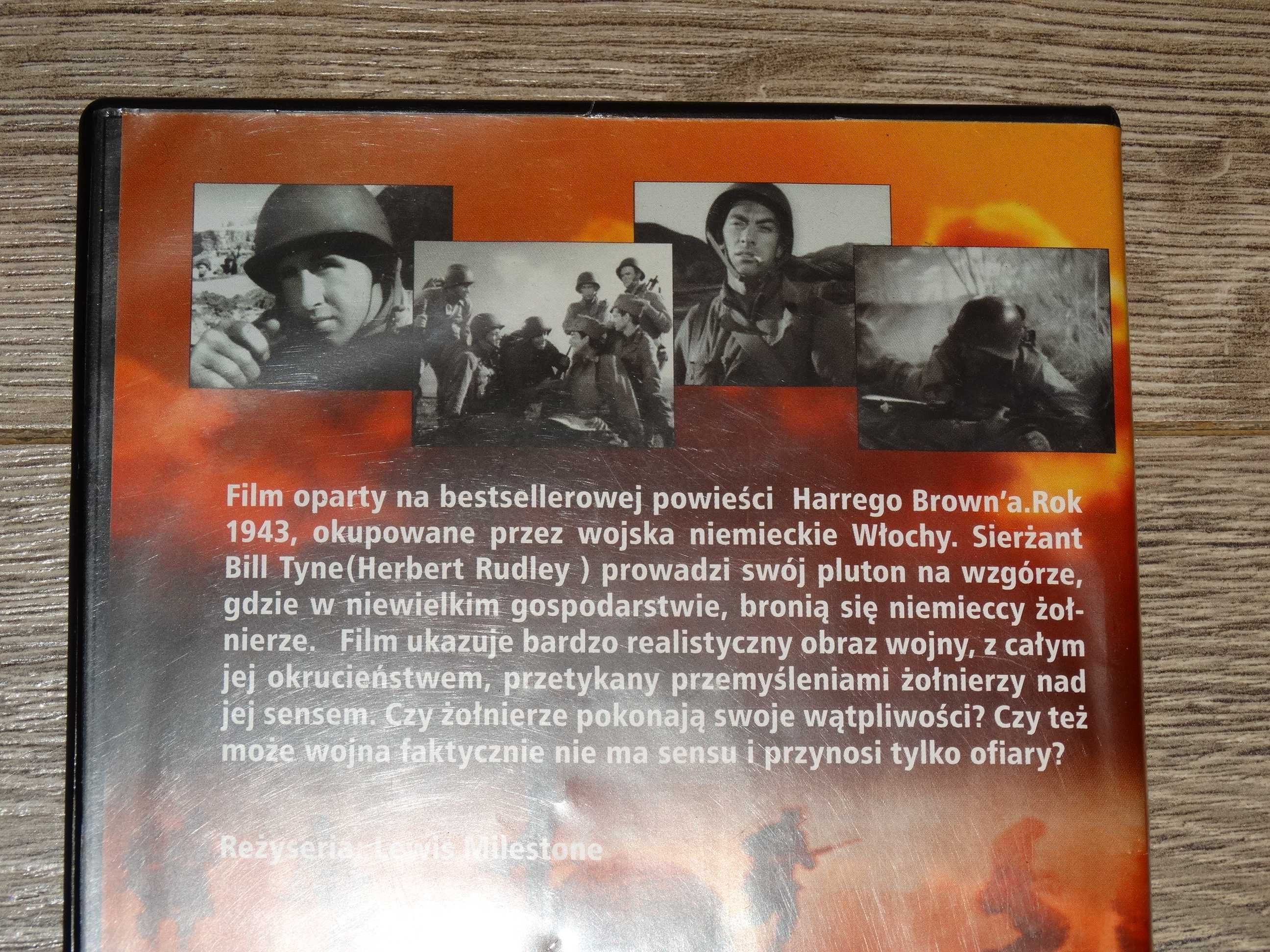 Spacer w słońcu DVD