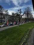 Продам ділянку в Нових Петрівцях. Супер пропозиція.