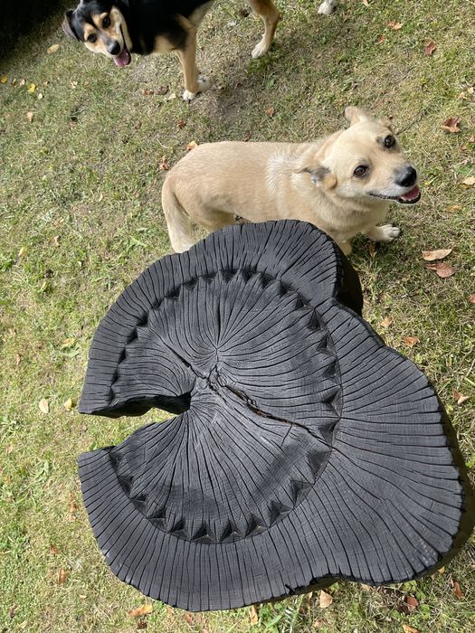 Stolik buk ipalany olejowany