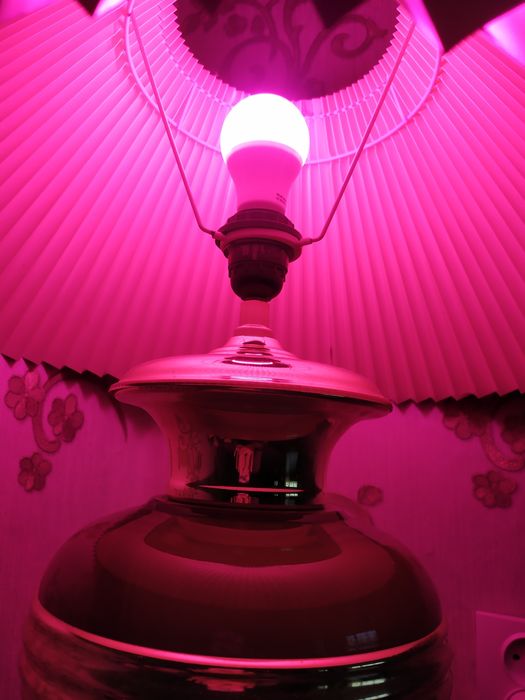 Фитолампа для растений