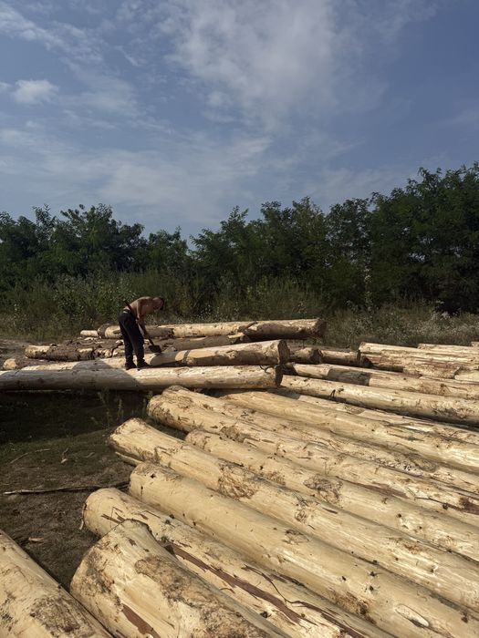 Дикий зруб продаж готовий та під замовлення.