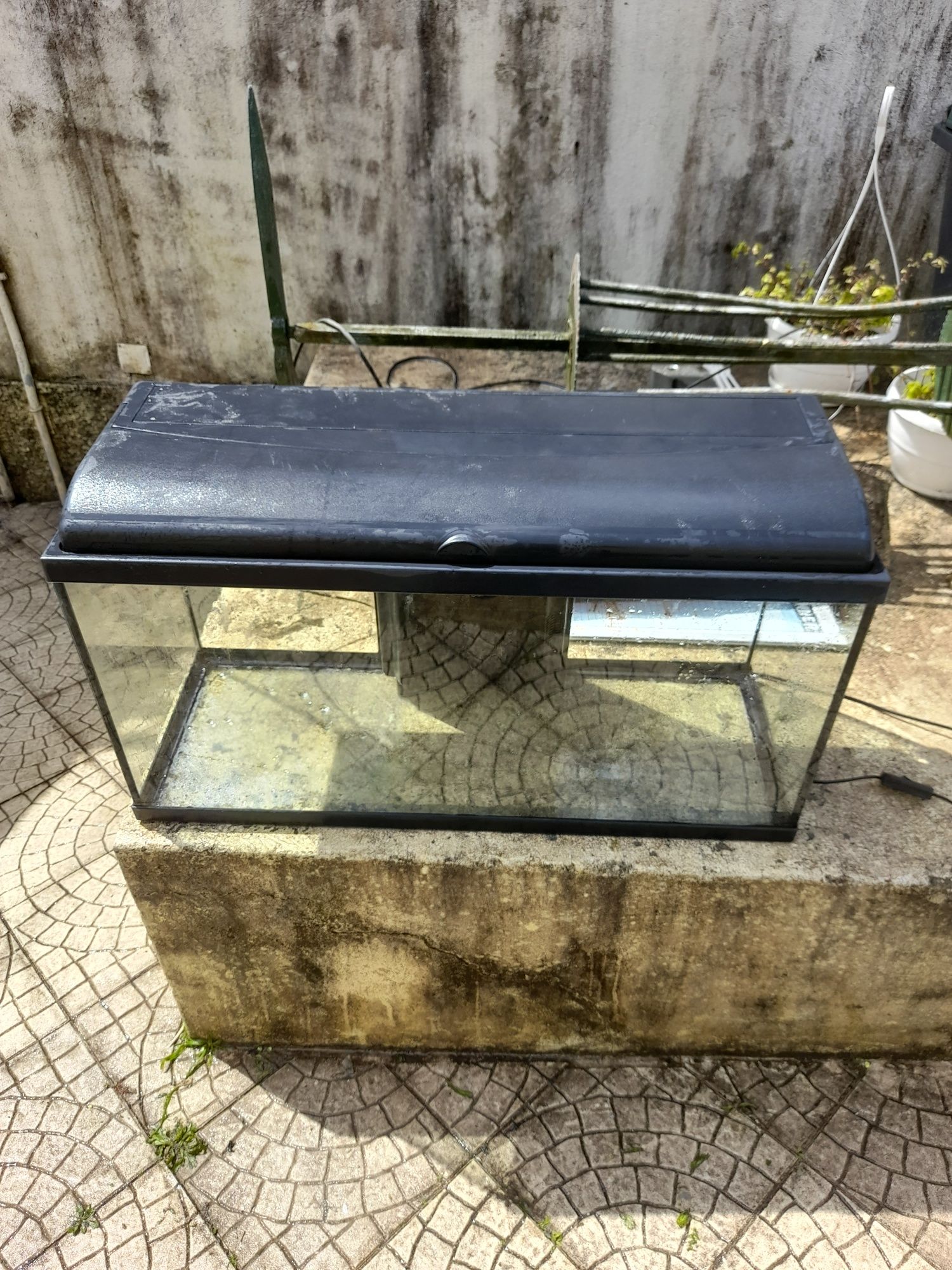 Aquario cm 80cm 40cm 30cm