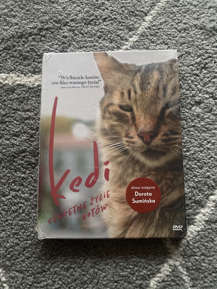 Nowy film dvd Kedi Sekretne Życie Kotów