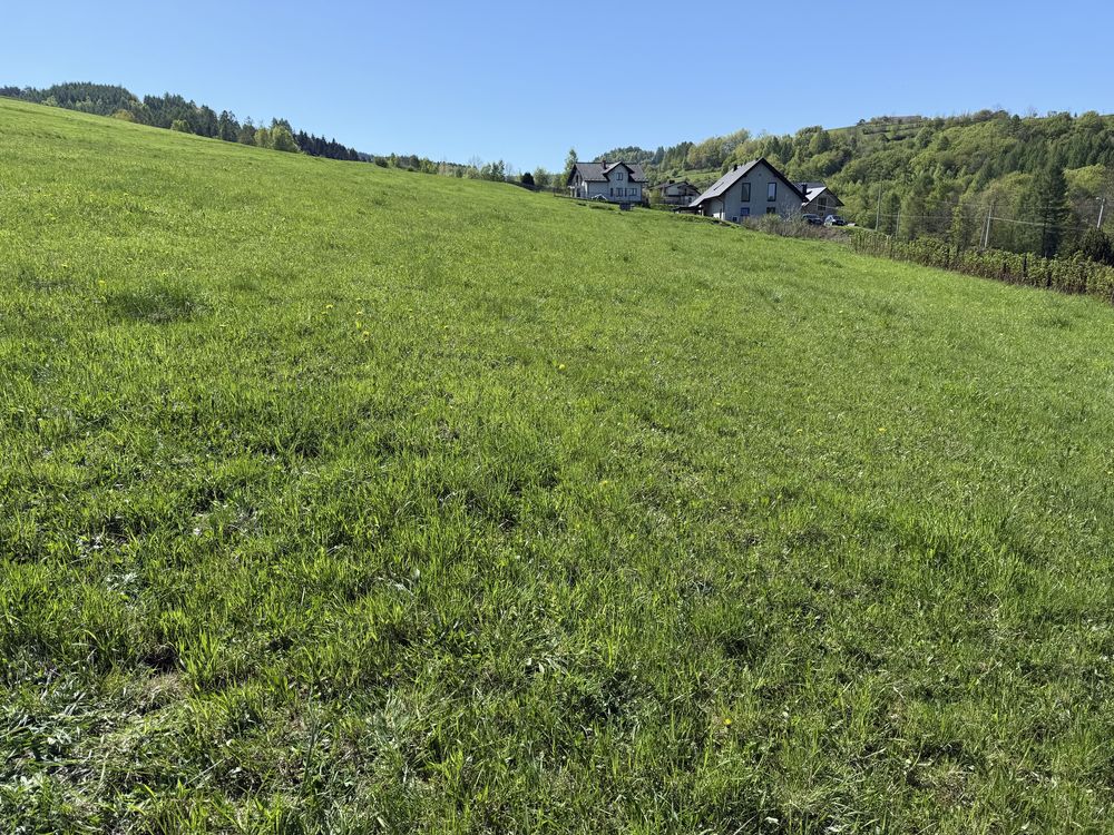 Działka budowlana nr 841 o pow. 0,33 ha Frycowa gm. Nawojowa