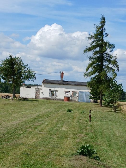Dom 107m , działka 2665m