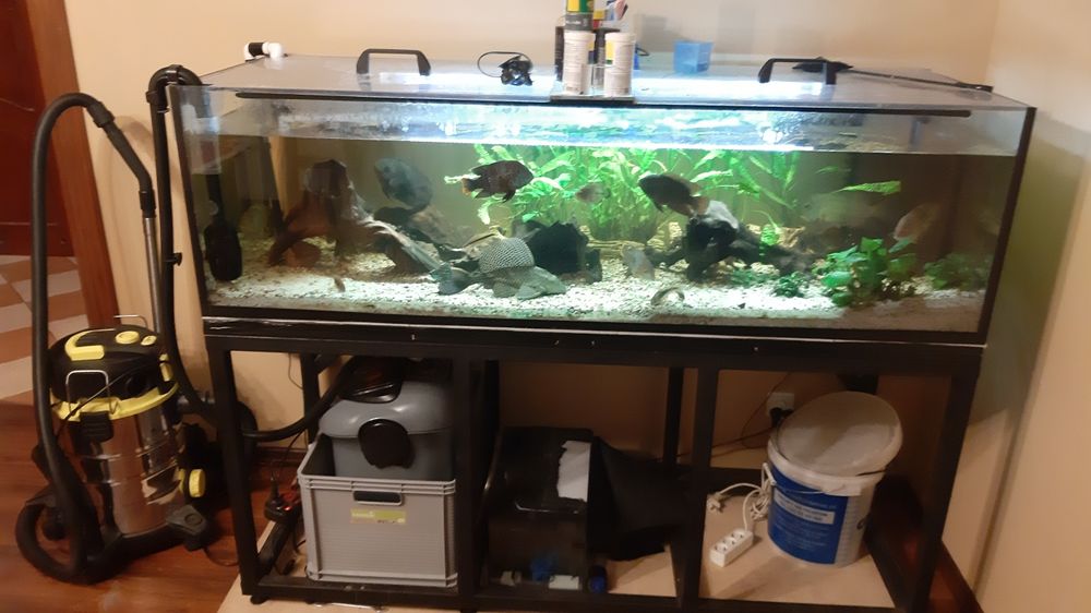 Akwarium 500l 170x60x50 wysokosc  510l