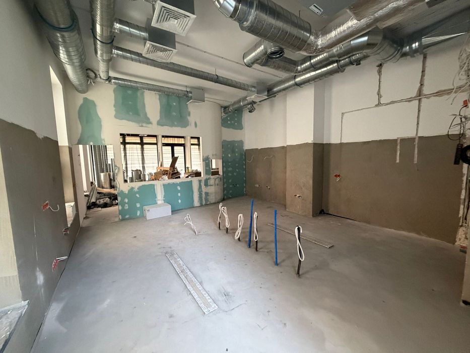 Wspaniały lokal na Warszawskim Powiślu - Perełka !!! 170 m/2 + ogród