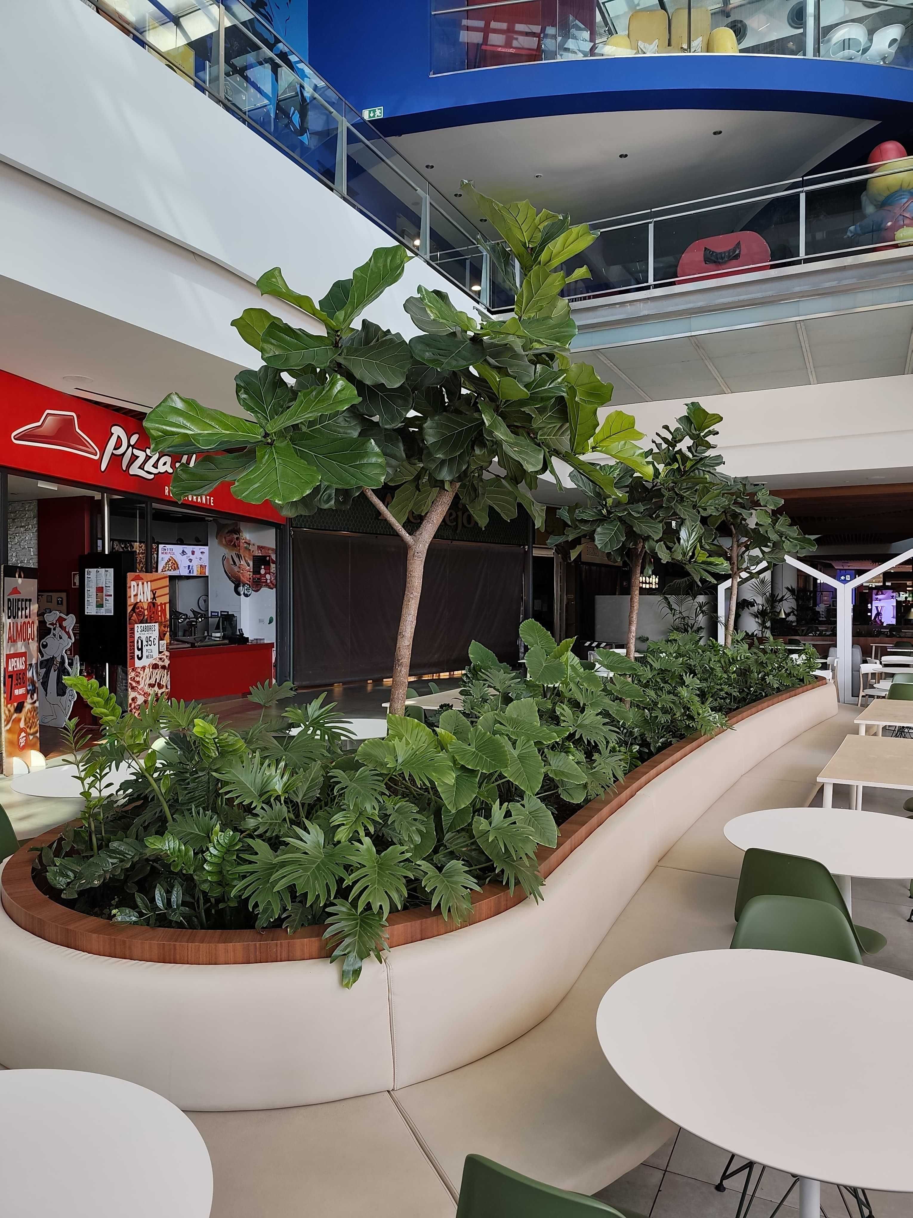 Instalação e Manutenção de jardins