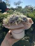 Flowerbox bukiet ze świec sojowych