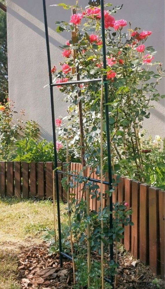 Pergola Ogrodowa Metalowa na Kwiaty Łuk 240x140 Uchwyt
