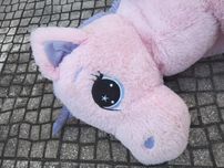 Peluches grandes