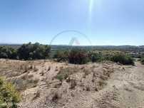 Terreno com 33000 m2 em Loulé (Industria extrativa e Agricultura)