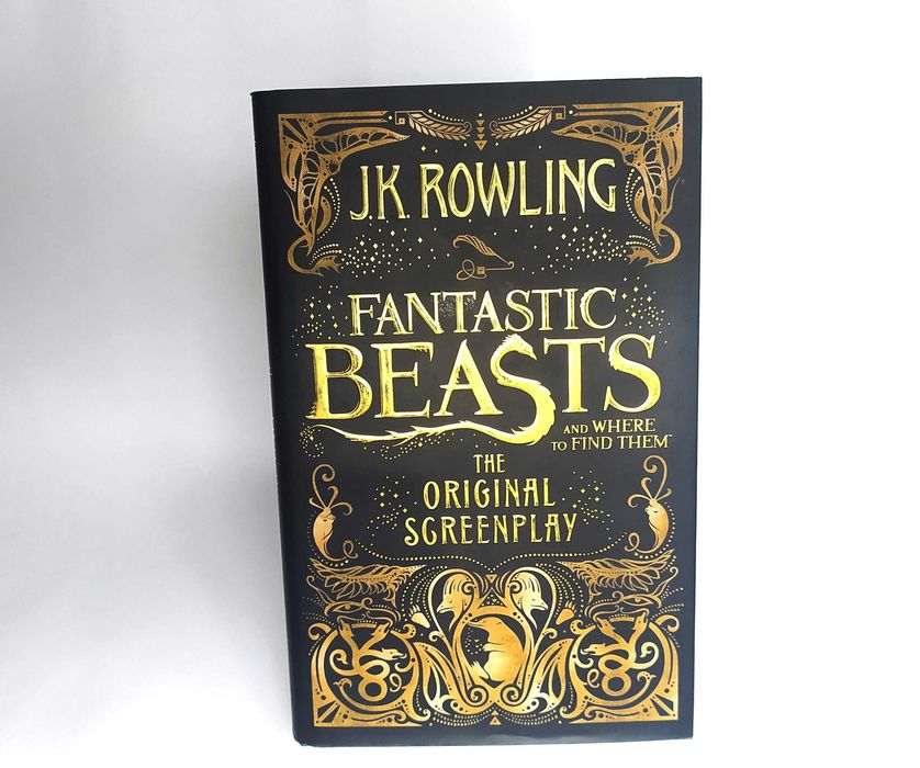NOVO — Fantastic Beasts and Where to Find Them, Harry Potter