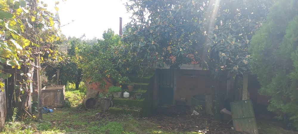 Quinta com casa habitação em Sabugosa-Tondela Tondela