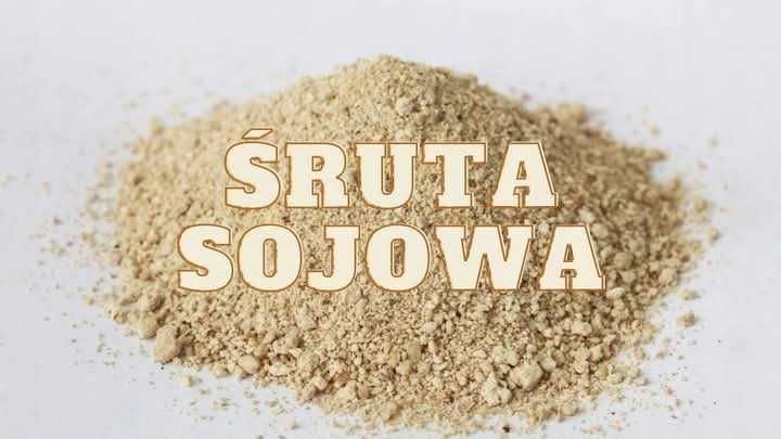 Wysłodki buraczane, Młóto, Śruta sojowa, Śruta Rzepakowa, Koncentrat