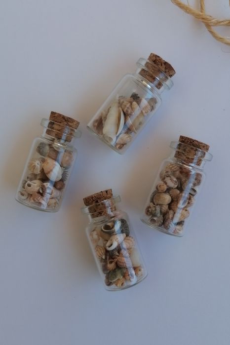 Conjunto 4 frascos conchas e buzios